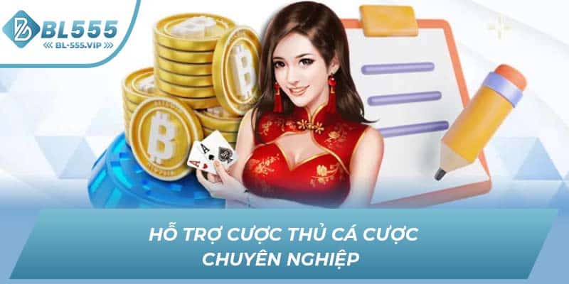 Hỗ trợ cược thủ cá cược chuyên nghiệp 